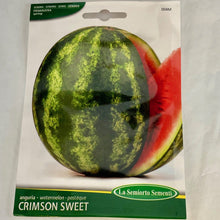 Load image into Gallery viewer, 04M - WATERMELON SUGAR BABY