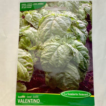 Load image into Gallery viewer, 18 - BASIL CRINKLY LEAVES