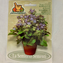 Load image into Gallery viewer, 34 - BORAGE