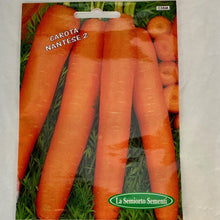 Load image into Gallery viewer, 38 - CARROTS SEEDS
