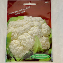 Load image into Gallery viewer, 44 - NEOPOLITAN CAULIFLOWER SEEDS