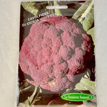 Load image into Gallery viewer, 50 - CAULIFLOWER VIOLET SEEDS
