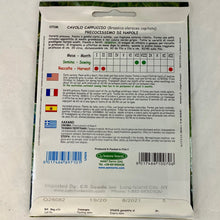 Load image into Gallery viewer, 70 - CABBAGE SEEDS