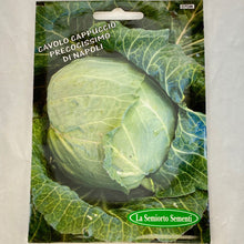 Load image into Gallery viewer, 70 - CABBAGE SEEDS