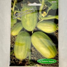 Load image into Gallery viewer, 102 - MELONE BARESE