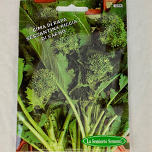 Load image into Gallery viewer, 107 - BROCCOLI RABE
