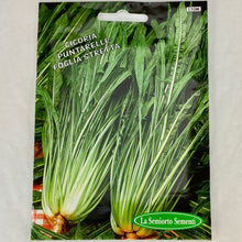 Load image into Gallery viewer, 110 - CHICORY LONG SMOOTH LEAVES WITH STALKS