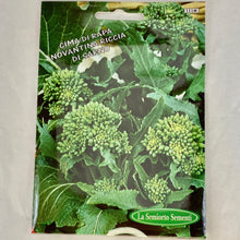 Load image into Gallery viewer, 111 - BROCCOLI RABE SARNESE