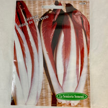 Load image into Gallery viewer, 120 - RADICCHIO LONG LEAF