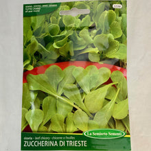 Load image into Gallery viewer, 121 - CHICORY