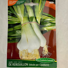 Load image into Gallery viewer, 158 - SCALLIONS