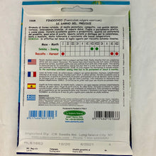 Load image into Gallery viewer, 166 - FENNEL SARNESE