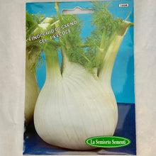 Load image into Gallery viewer, 166 - FENNEL SARNESE