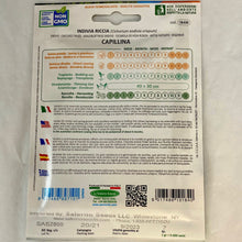 Load image into Gallery viewer, 184 - ENDIVE