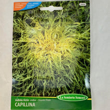 Load image into Gallery viewer, 184 - ENDIVE