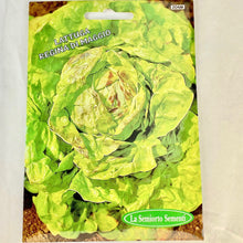 Load image into Gallery viewer, 204 - BOSTON LETTUCE