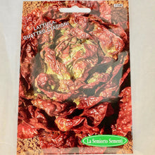 Load image into Gallery viewer, 216 - BOSTON RED LEAF LETTUCE