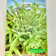 Load image into Gallery viewer, 232 - CUTTING LETTUCE GREEN