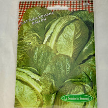 Load image into Gallery viewer, 238 - BALL ROMAINE LETTUCE