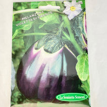 Load image into Gallery viewer, 250 - FLORENTINE EGGPLANT