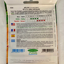 Load image into Gallery viewer, 256 - CANTALOUPE