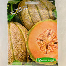 Load image into Gallery viewer, 256 - CANTALOUPE