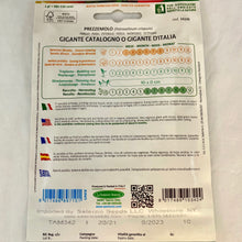 Load image into Gallery viewer, 342 - ITALIAN PARSLEY SEEDS