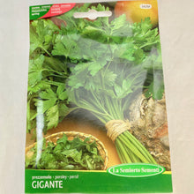 Load image into Gallery viewer, 342 - ITALIAN PARSLEY SEEDS