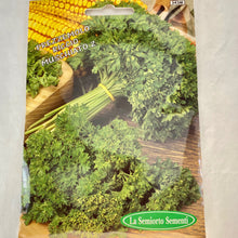 Load image into Gallery viewer, 343 - CURLY PARSLEY SEEDS
