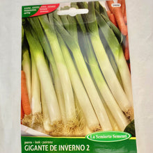 Load image into Gallery viewer, 346 - LEEKS SEEDS