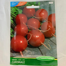Load image into Gallery viewer, 356 - RADISH SEEDS