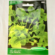 Load image into Gallery viewer, 358 - WILD ARUGULA SEEDS