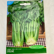 Load image into Gallery viewer, 364 - CELERY FULLY GREEN
