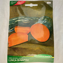 Load image into Gallery viewer, 378 - NEOPOLITAN SQUASH SEEDS