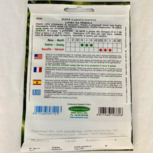 Load image into Gallery viewer, 380 - SICILIAN SQUASH CUCUZZA SEEDS