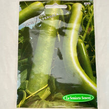 Load image into Gallery viewer, 380 - SICILIAN SQUASH CUCUZZA SEEDS