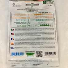 Load image into Gallery viewer, 382 - ITALIAN SQUASH SEEDS