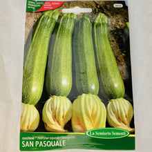 Load image into Gallery viewer, 382 - ITALIAN SQUASH SEEDS