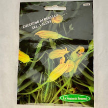 Load image into Gallery viewer, 386 - ZUCCHINI FLOWERS SEEDS