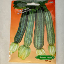 Load image into Gallery viewer, 390 - ITALIAN ROMANSQUE SQUASH