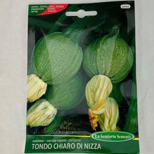 Load image into Gallery viewer, 395 - GREY SQUASH ROUND SEEDS