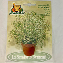 Load image into Gallery viewer, 651 - ANISE SEEDS