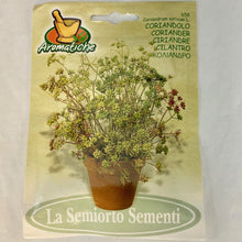 Load image into Gallery viewer, 658 - CORIANDER CILANTRO SEEDS
