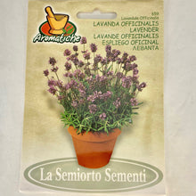 Load image into Gallery viewer, 659 - LAVENDAR SEEDS