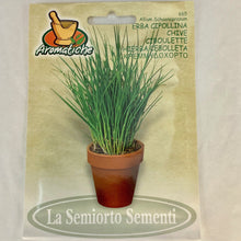 Load image into Gallery viewer, 665 - CHIVE SEEDS