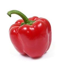 Load image into Gallery viewer, Early Red Pepper Plant 4.5” Pot