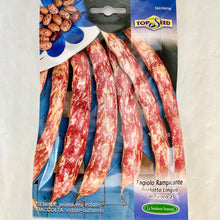 Load image into Gallery viewer, FAG396 - BORLOTTO LINGUA POLE BEAN SEEDS