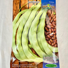 Load image into Gallery viewer, FAG400 - POLE GARRAFAL GREEN BEANS SEEDS