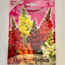 Load image into Gallery viewer, FL502 - SNAPDRAGON SEEDS