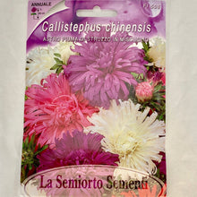 Load image into Gallery viewer, FL506 - ASTER SEEDS